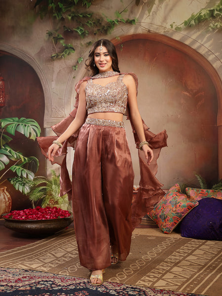 Stylum Women's Brown Solid & Embroidered Organza Co-Ords Set (CSBROWNVANYA)