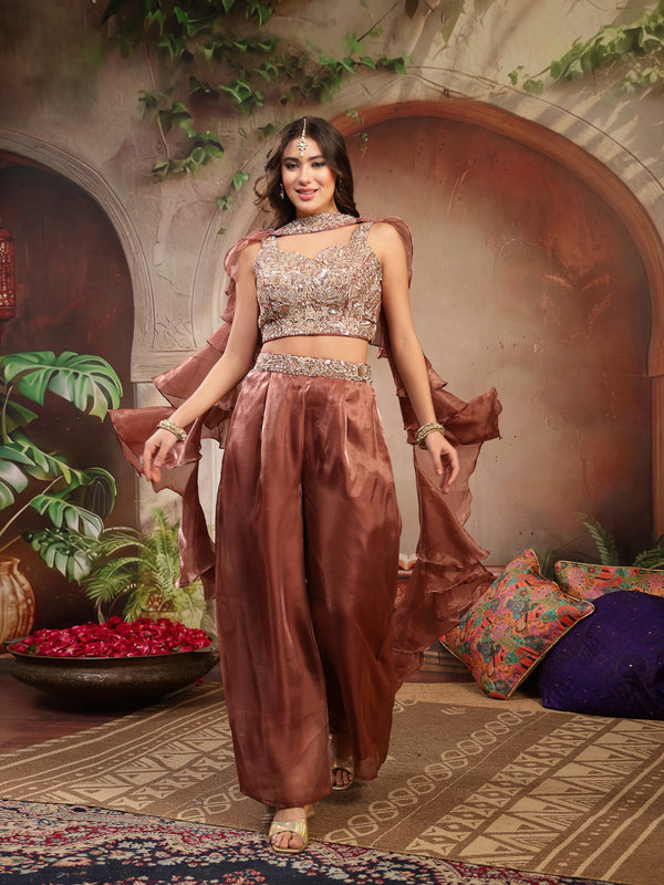 Stylum Women's Brown Solid & Embroidered Organza Co-Ords Set (CSBROWNVANYA)