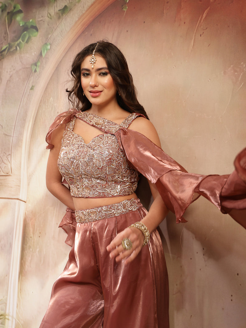 Stylum Women's Brown Solid & Embroidered Organza Co-Ords Set (CSBROWNVANYA)
