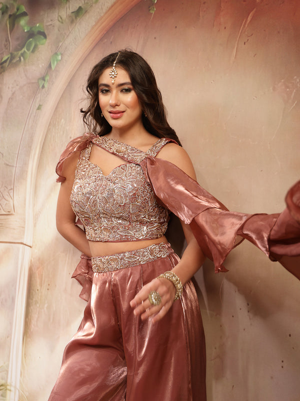 Stylum Women's Brown Solid & Embroidered Organza Co-Ords Set (CSBROWNVANYA)