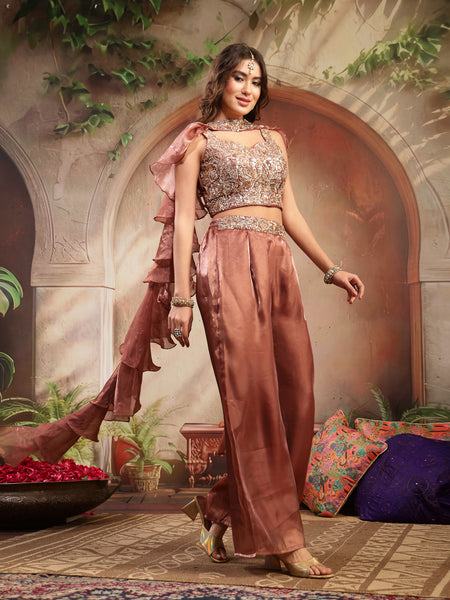Stylum Women's Brown Solid & Embroidered Organza Co-Ords Set (CSBROWNVANYA)
