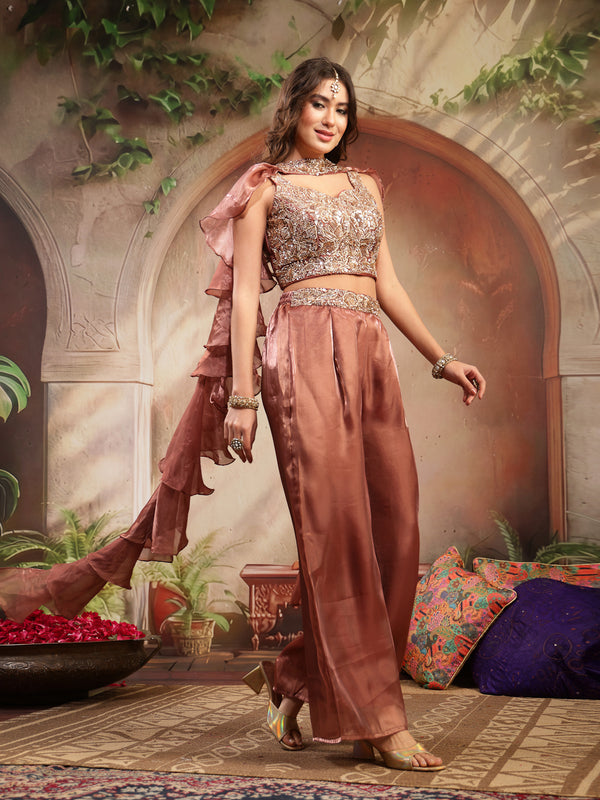 Stylum Women's Brown Solid & Embroidered Organza Co-Ords Set (CSBROWNVANYA)