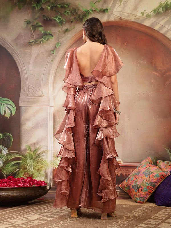 Stylum Women's Brown Solid & Embroidered Organza Co-Ords Set (CSBROWNVANYA)