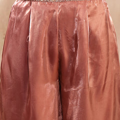Stylum Women's Brown Solid & Embroidered Organza Co-Ords Set (CSBROWNVANYA)