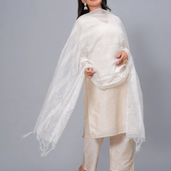 Stylum Women's Embroidered Chanderi Drawer Dupatta (DUPJESIKAWHITE)