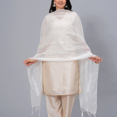 Stylum Women's Embroidered Chanderi Drawer Dupatta (DUPJESIKAWHITE)