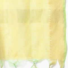 Stylum Women's Woven Designed Cotton Blend Straight Kurta Pant Dupatta Set (KPDAQUATIMMER)